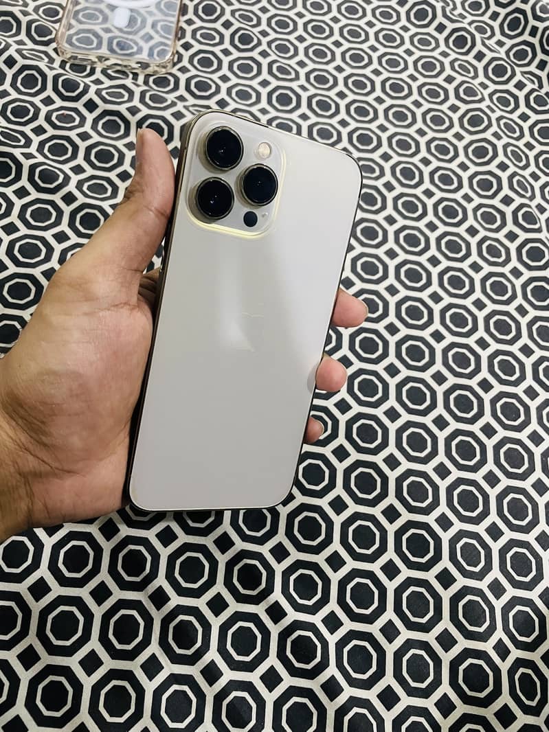 Apple iPhone 13 Pro Max 1