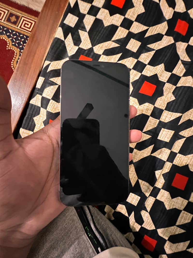 Apple iPhone 12 Pro Max 0