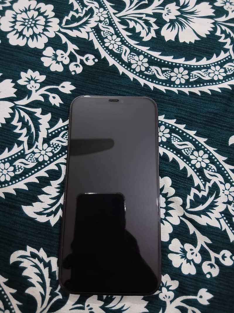 Apple iPhone 12 Pro Max 1