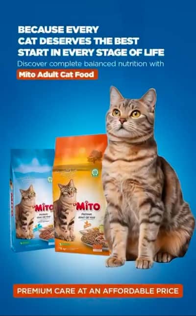 MITO HOMIE CAT FOOD PAWNEE CAT JOSERA CAT WHISKAS JELLY WET PURE LIFE