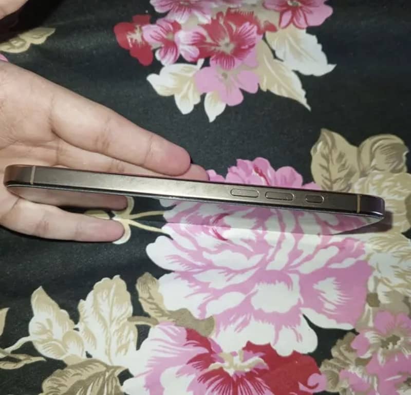 Apple iPhone 16 Pro Max 2