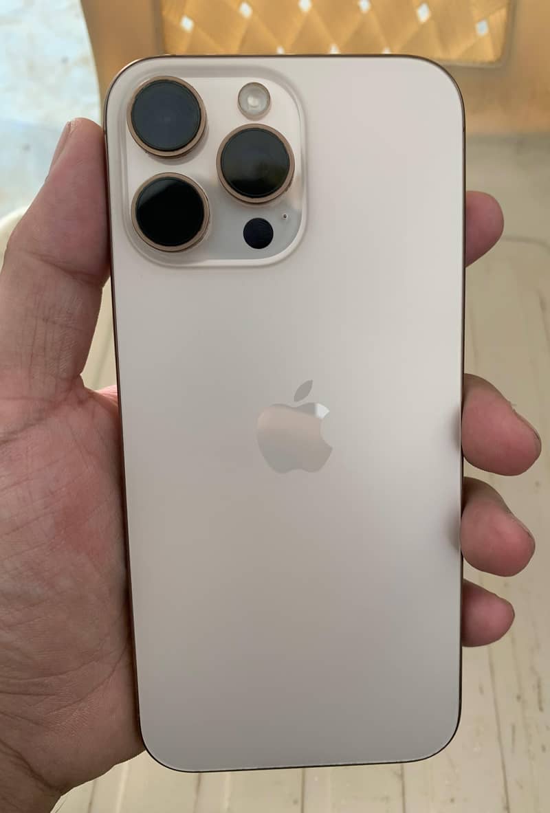 Apple iPhone 16 Pro Max 1
