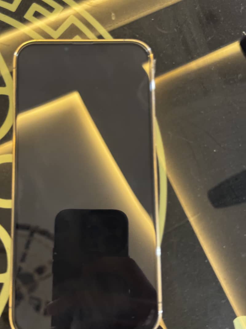 Apple iPhone 13 Pro Max 1
