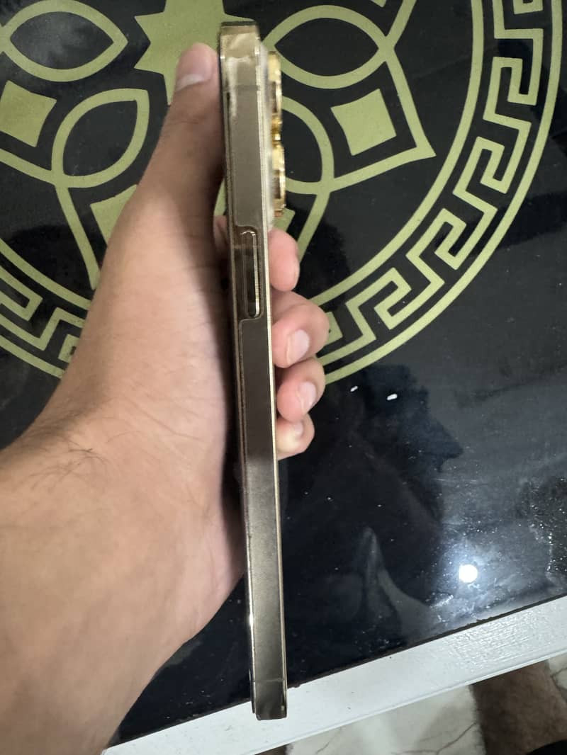 Apple iPhone 13 Pro Max 3