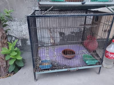 CAGE FOR BIRDS HANDMADE