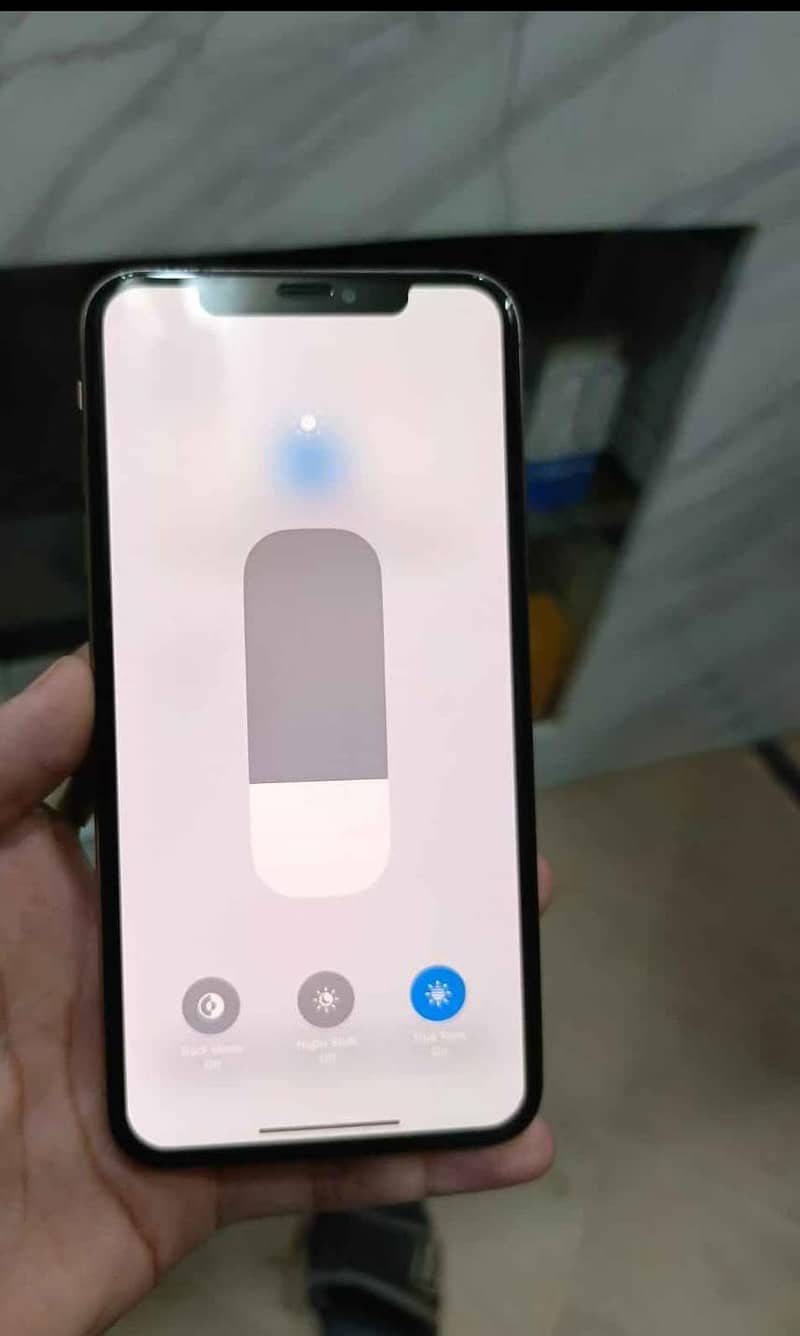 Apple iPhone XS Max 1
