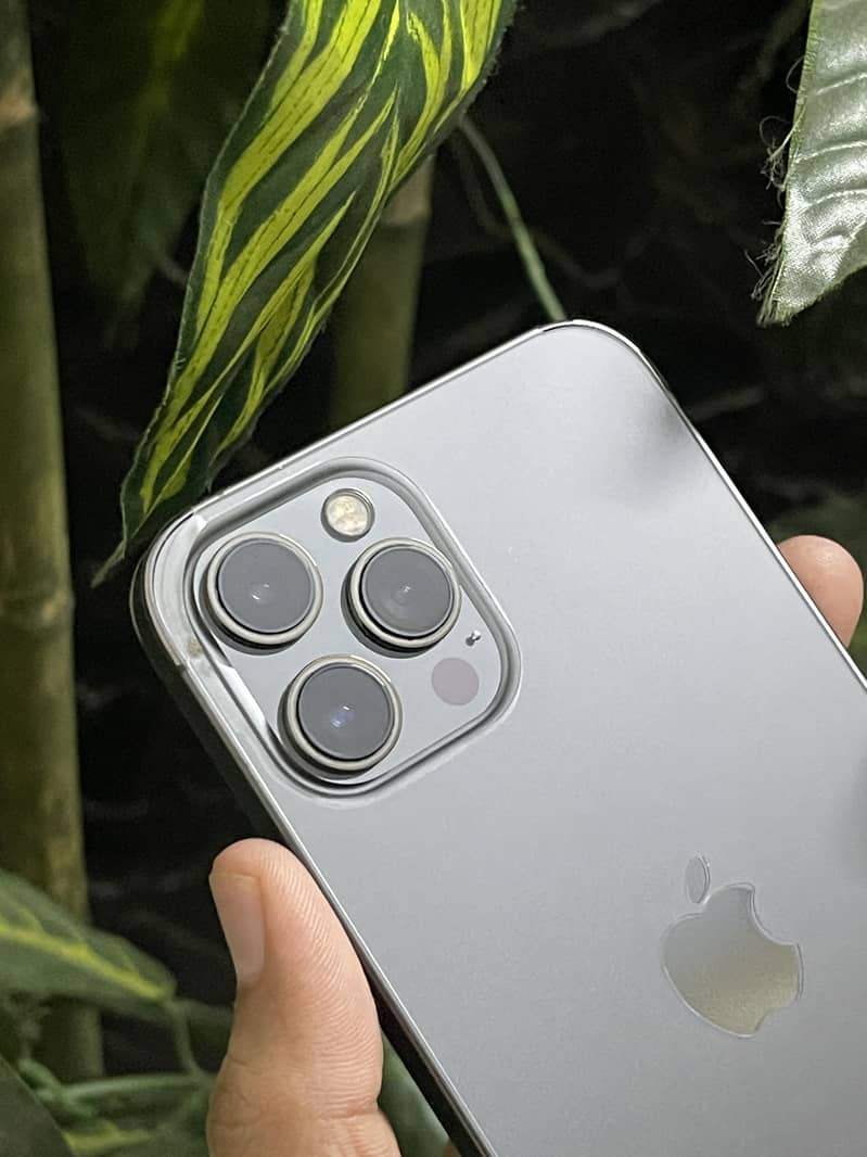 Apple iPhone 12 Pro Max 0