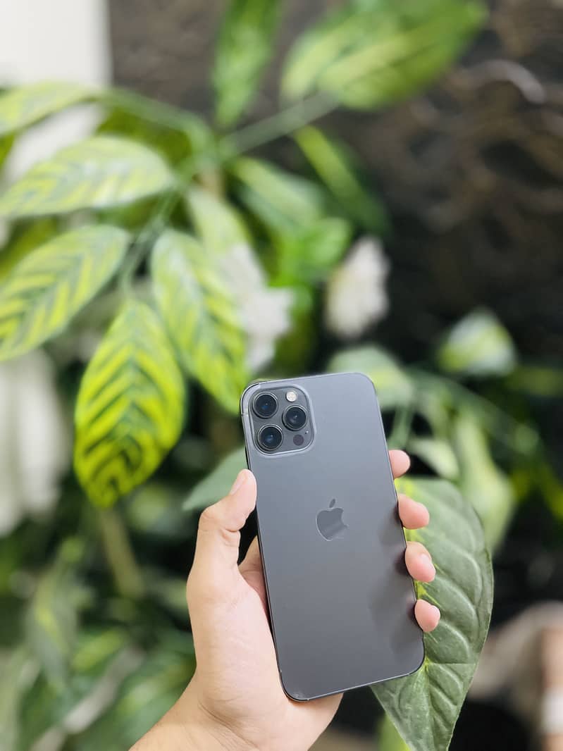 Apple iPhone 12 Pro Max 1