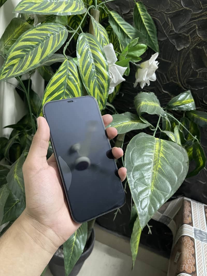 Apple iPhone 12 Pro Max 2