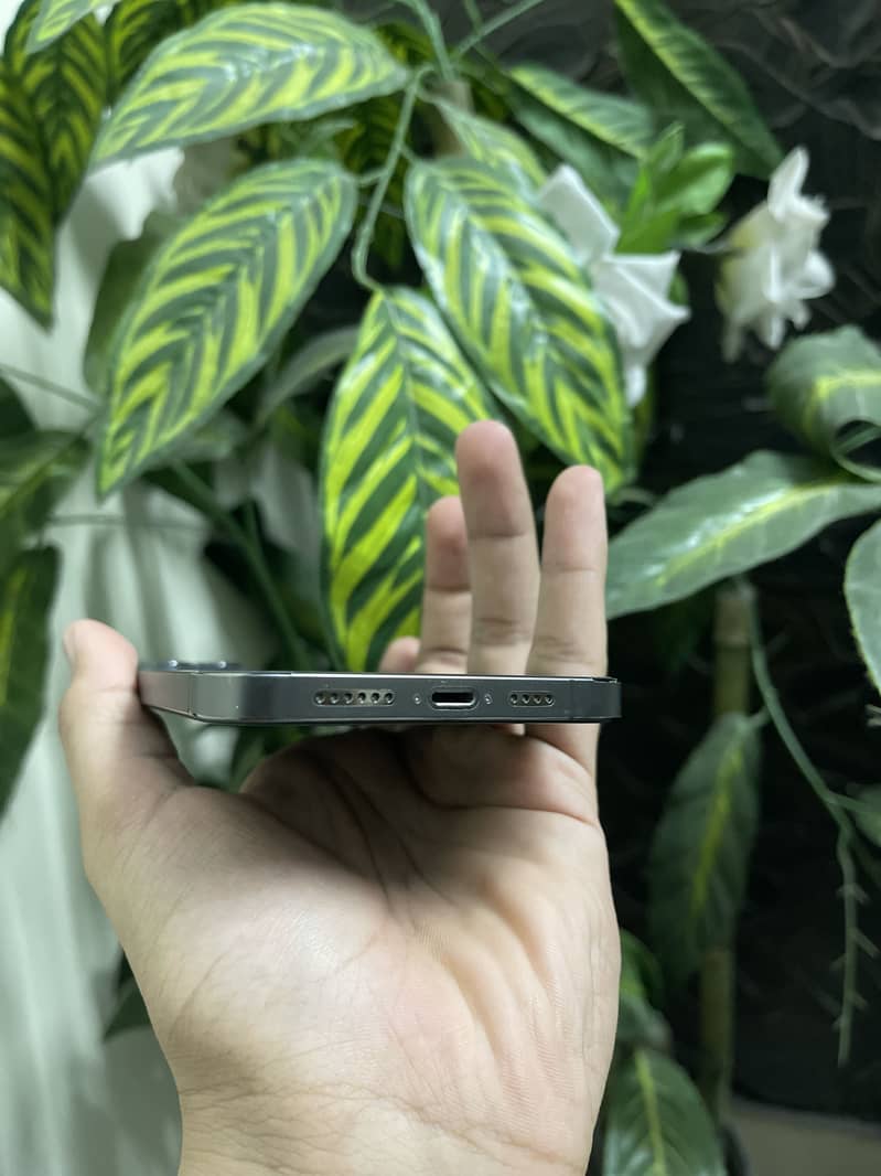 Apple iPhone 12 Pro Max 3