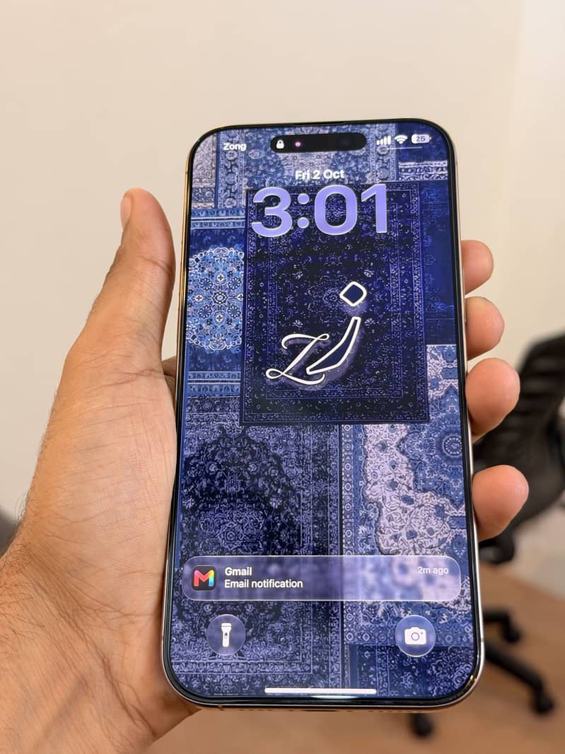 Apple iPhone 16 Pro Max 1