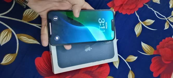 Apple iPhone 13