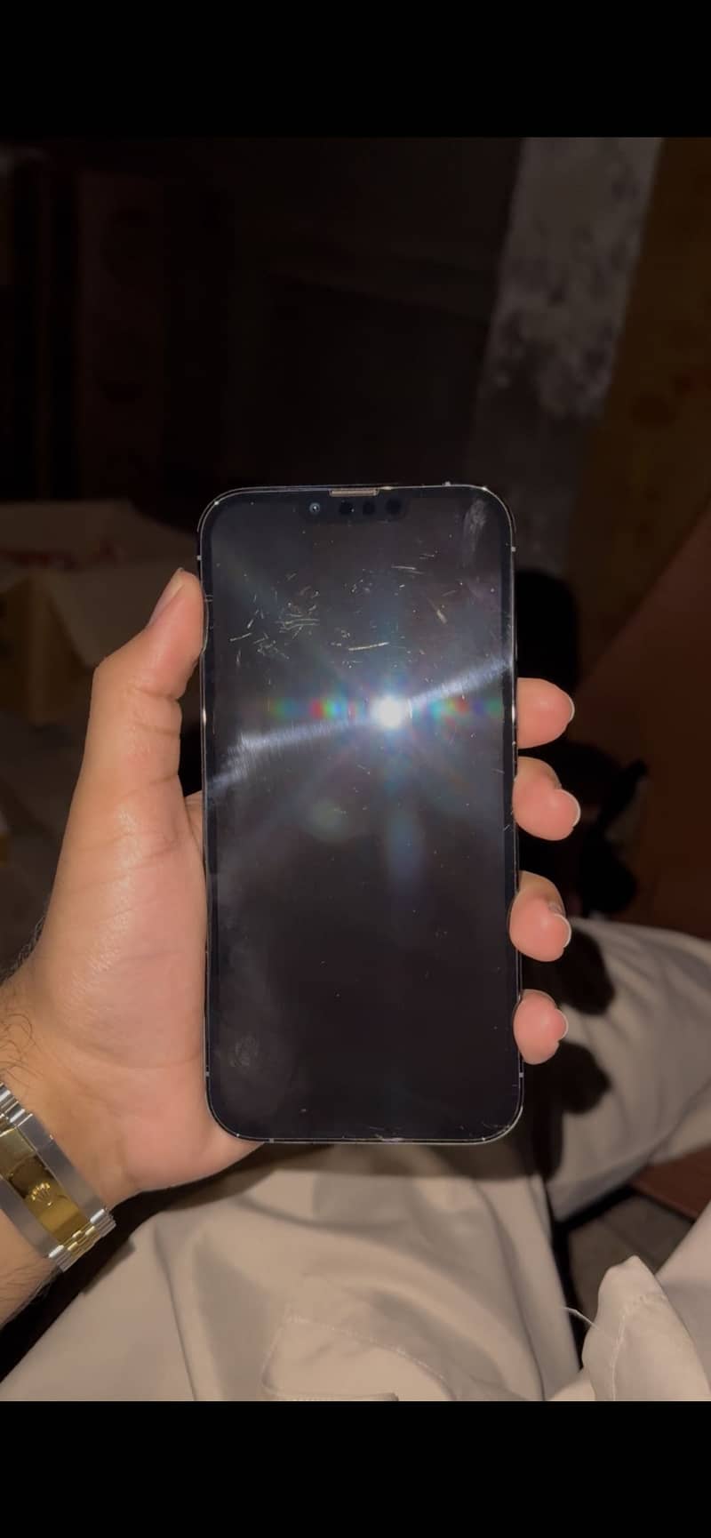 Apple iPhone 13 Pro Max 1