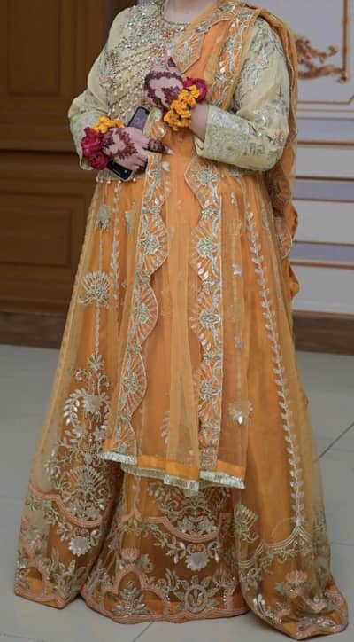 Heavy embroidered dress |Luxury Wedding & Party Wear