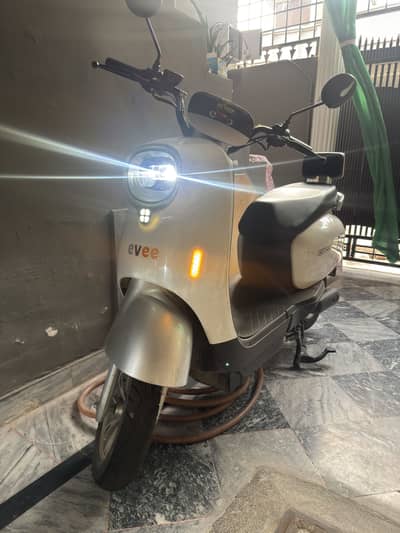 Evee Nisa - 2026 Model - Brand New