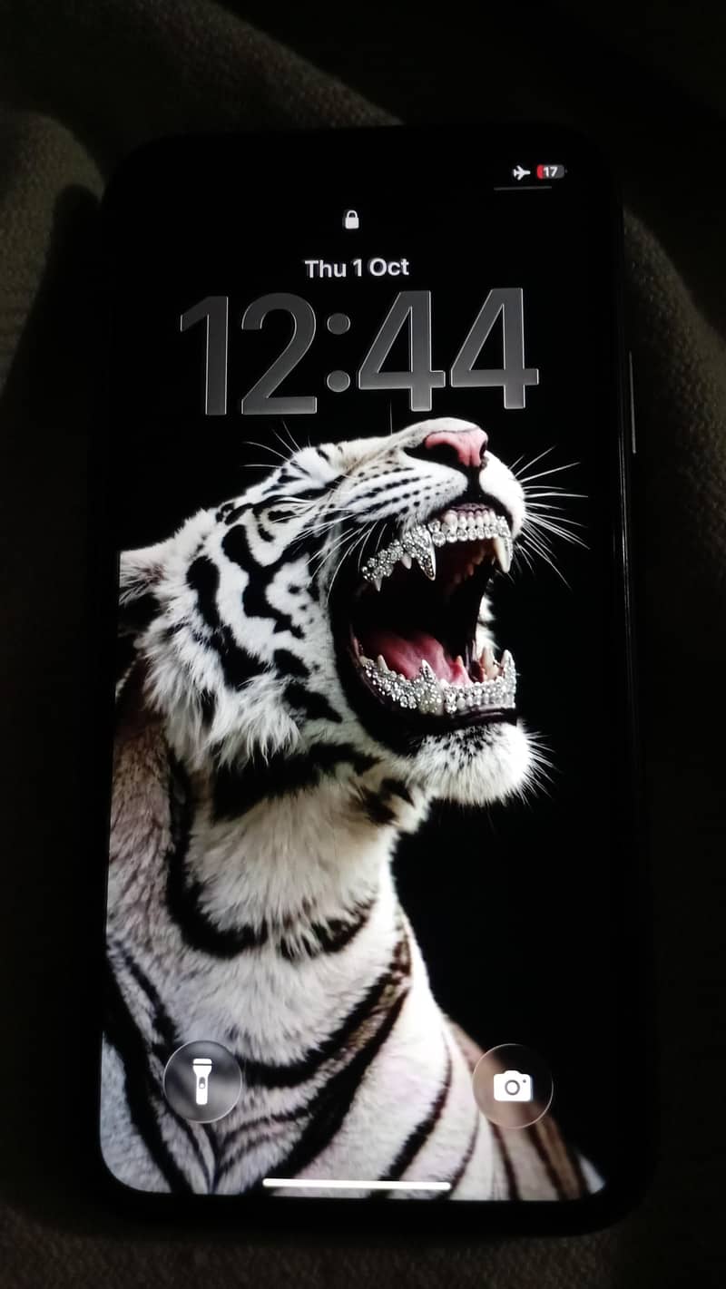 Apple iPhone 11 5