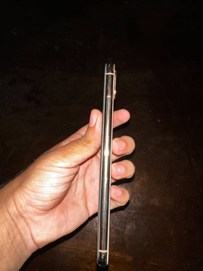 Apple iPhone XS Max 2