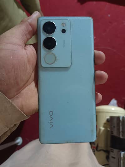 Vivo V29 5G 12/256