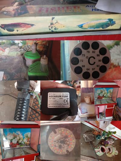Ecorium Aquarium With Live Fishes And Complete Setup For Sale