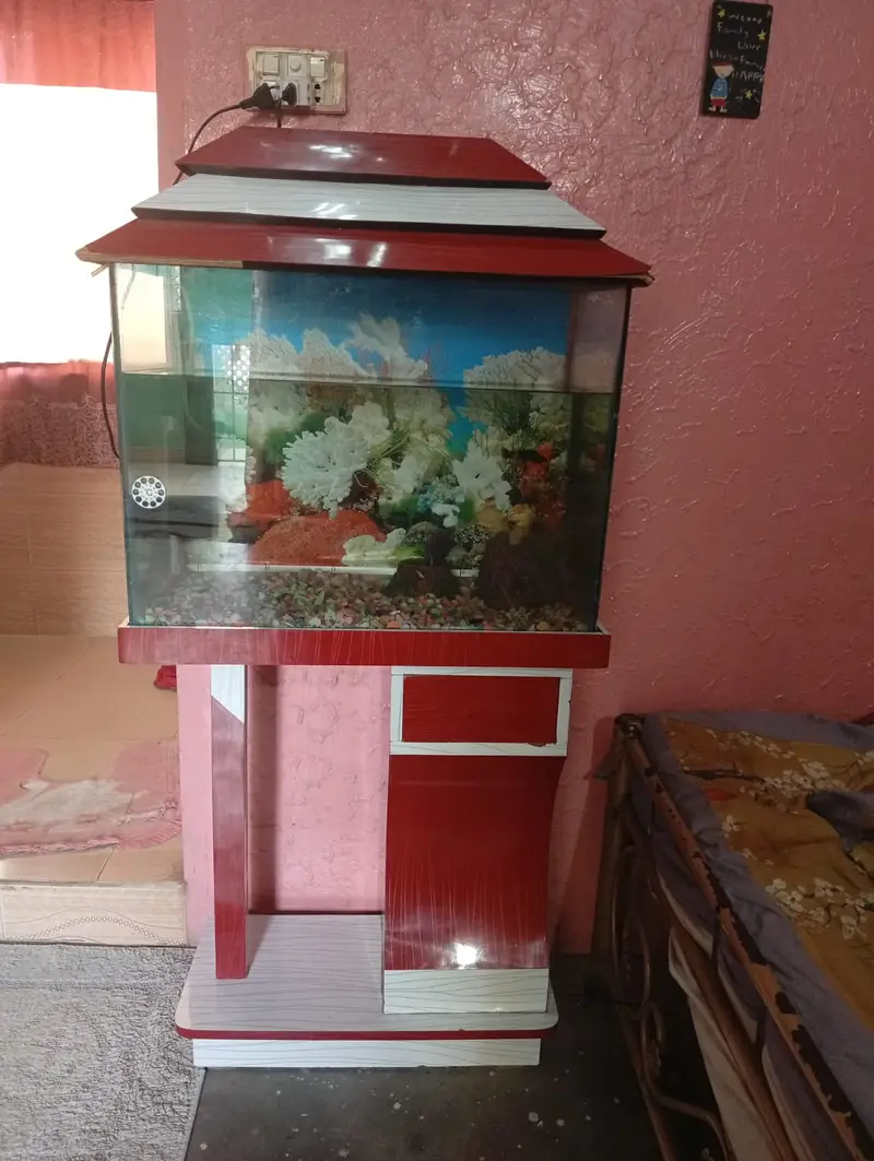 Ecorium Aquarium With Live Fishes And Complete Setup For Sale — photo 3