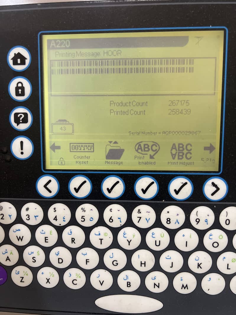Domino 6