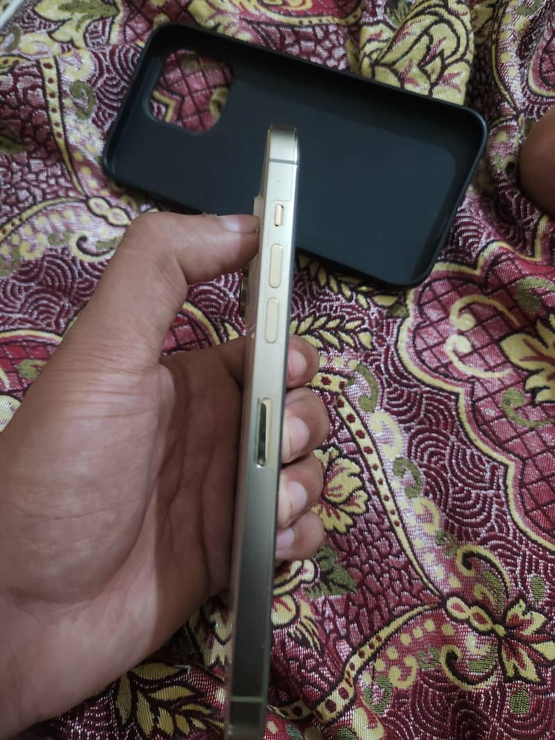 Apple iPhone 14 Pro Max 1