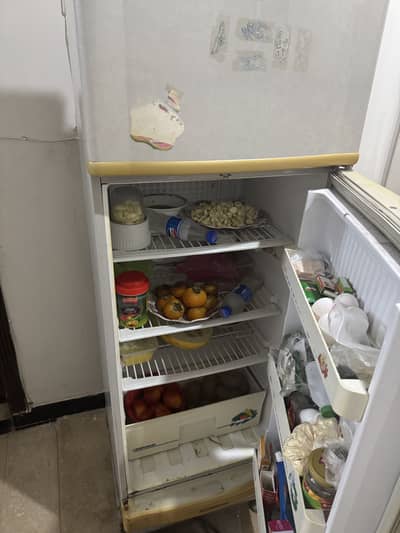 Pel Refrigerator