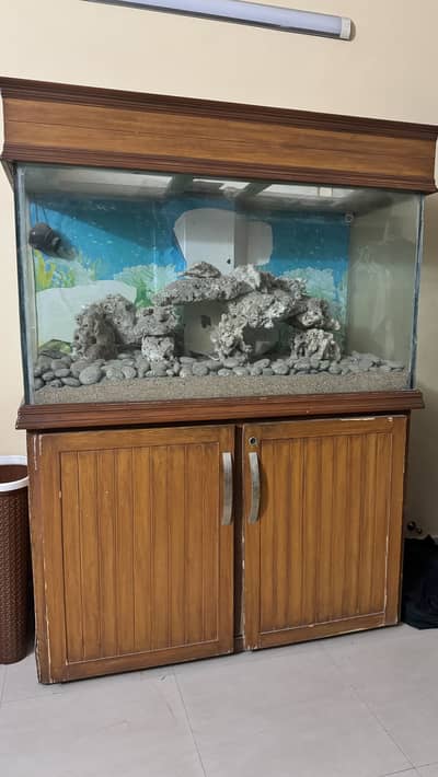 SeaWater Aquarium made with high quality timber