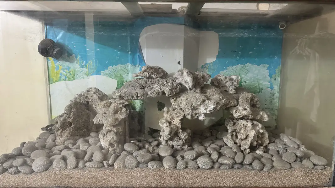 SeaWater Aquarium made with high quality timber — photo 2
