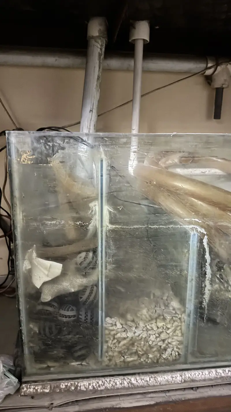 SeaWater Aquarium made with high quality timber — photo 4