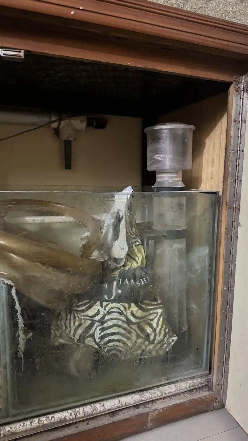 SeaWater Aquarium made with high quality timber — photo 5