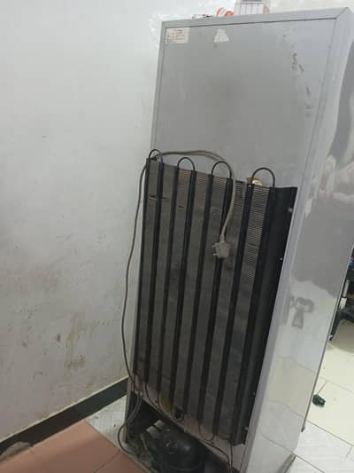 یوز ہیں کام نہیں کوئی