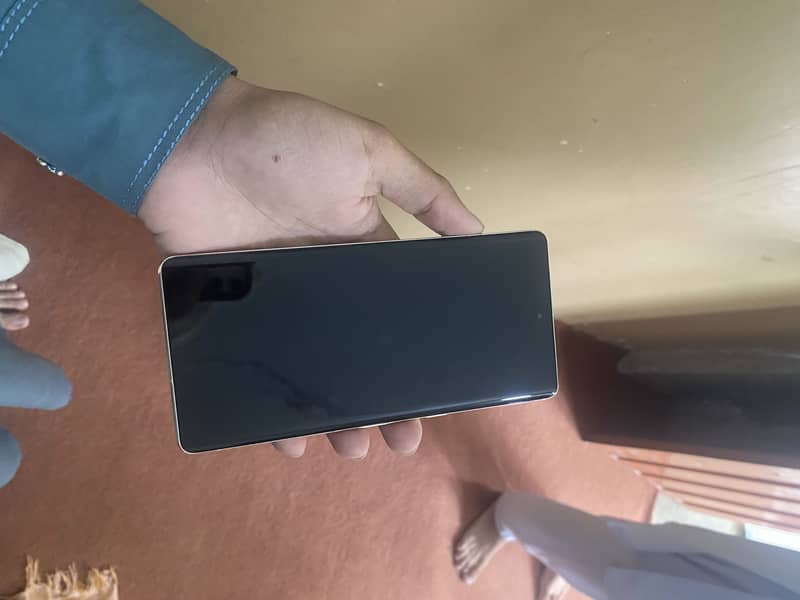 Google Pixel 7 Pro 0