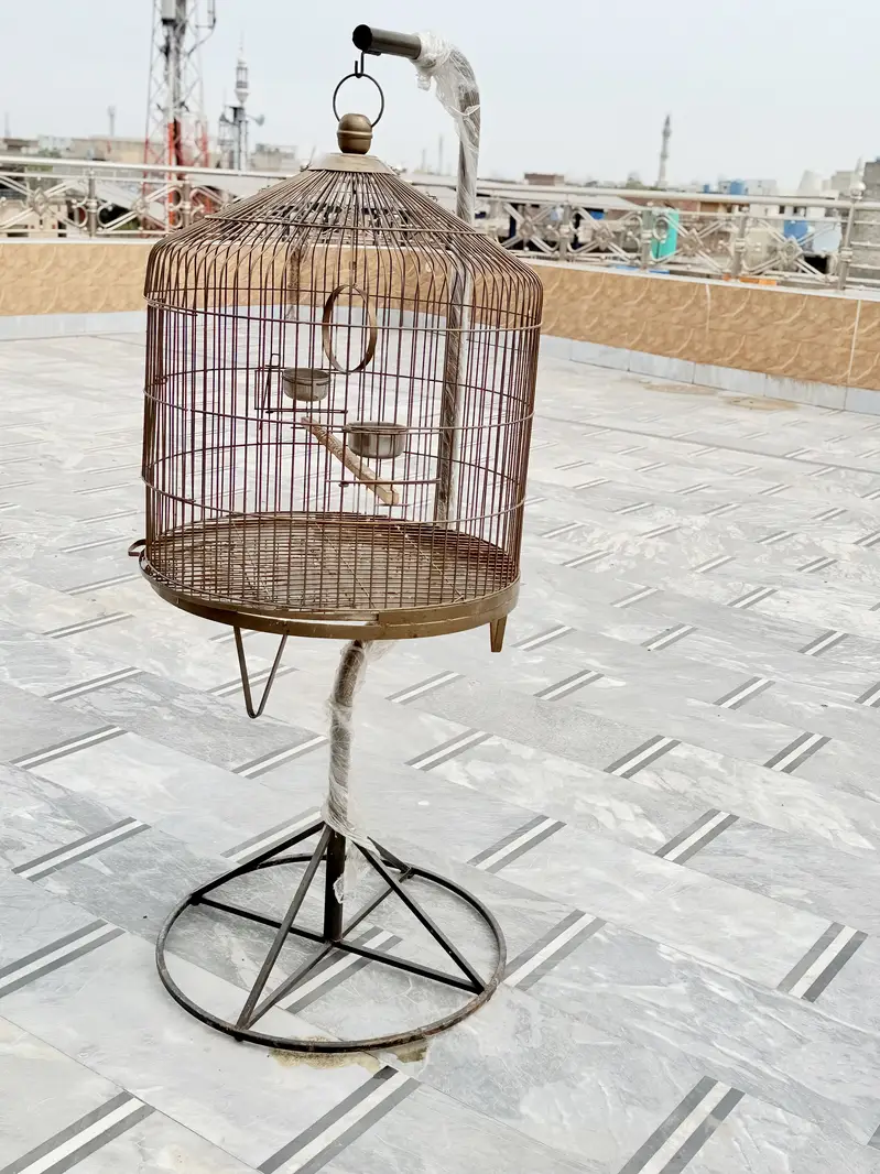 Fancy cage urgent sale — photo 2