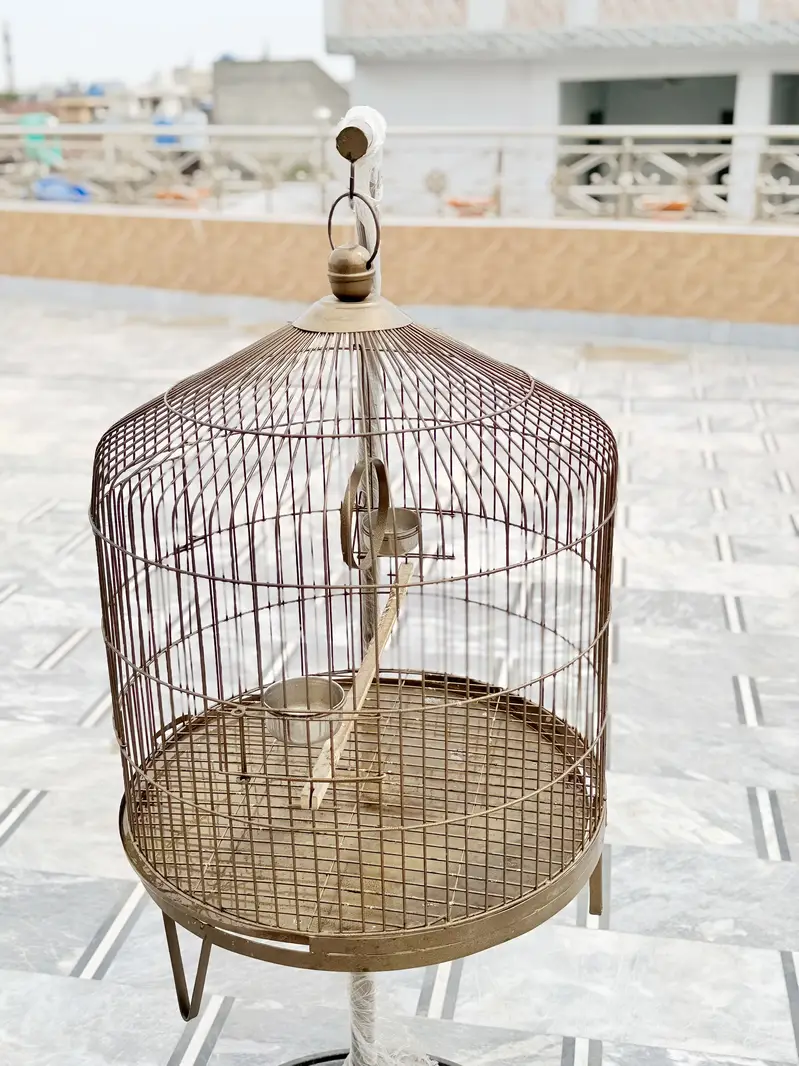 Fancy cage urgent sale — photo 3