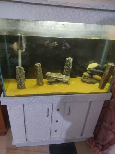 Complete Aquarium setup – Fish Tank & Accessories