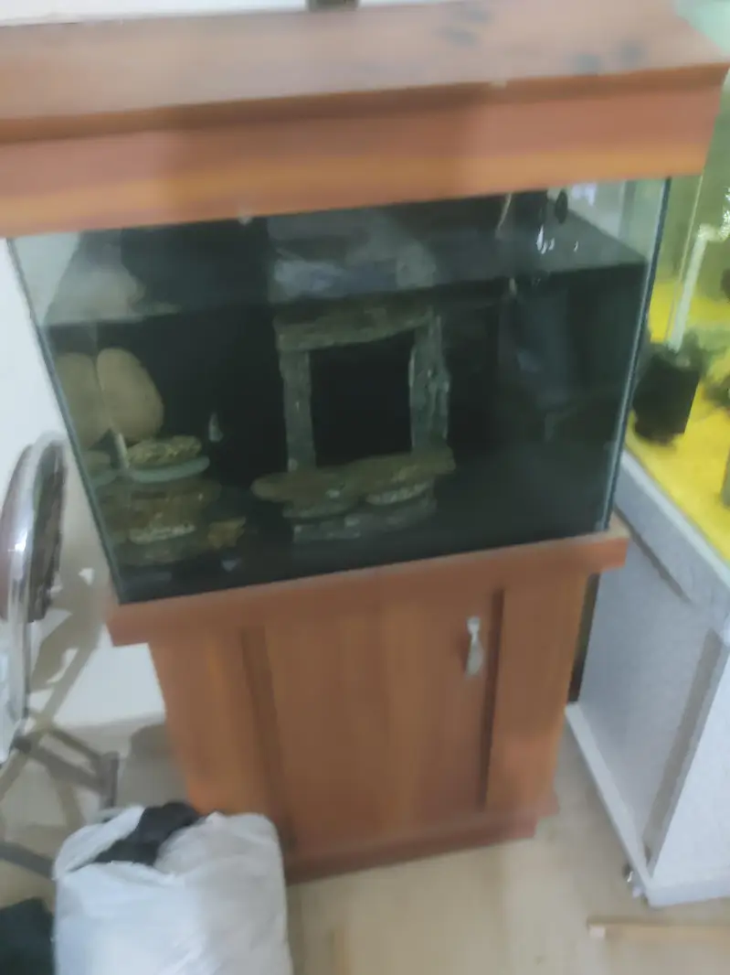 Complete Aquarium setup – Fish Tank & Accessories — photo 5