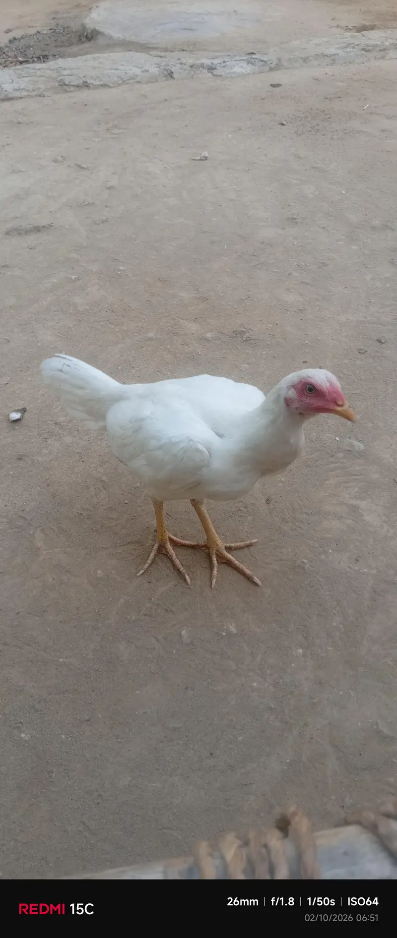 urgent for sale — photo 2