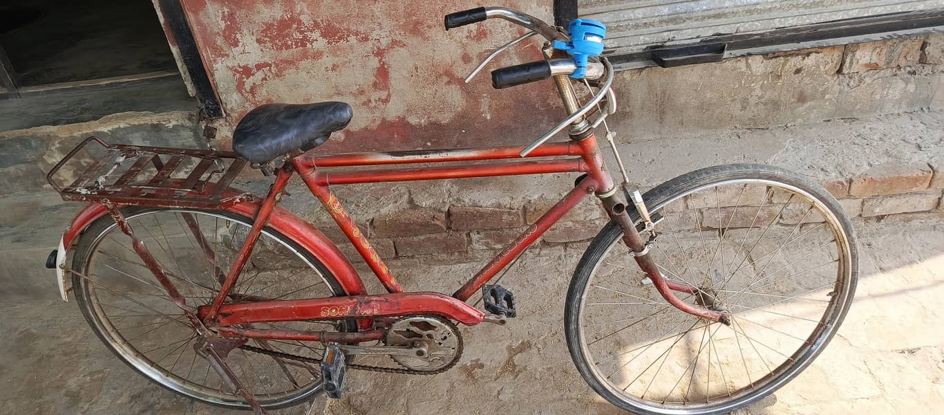 school cycle 0