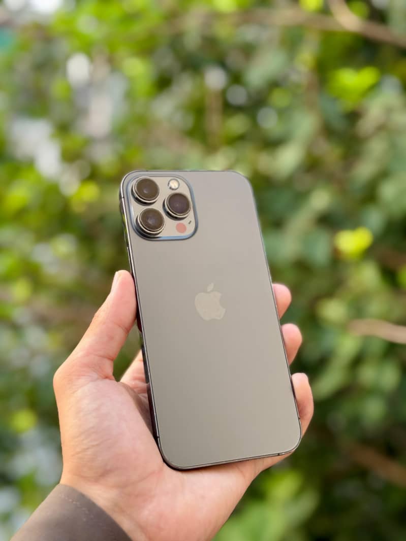 IPHONE 13 PRO MAX WATERPACK 0