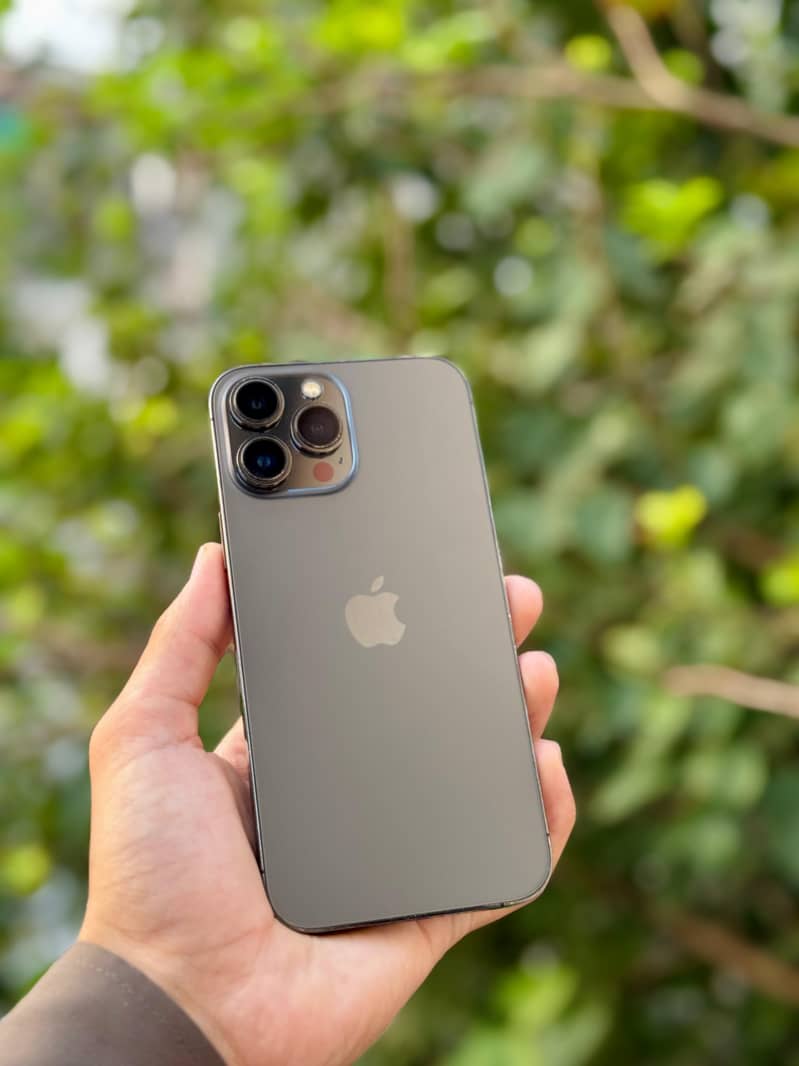 IPHONE 13 PRO MAX WATERPACK 1