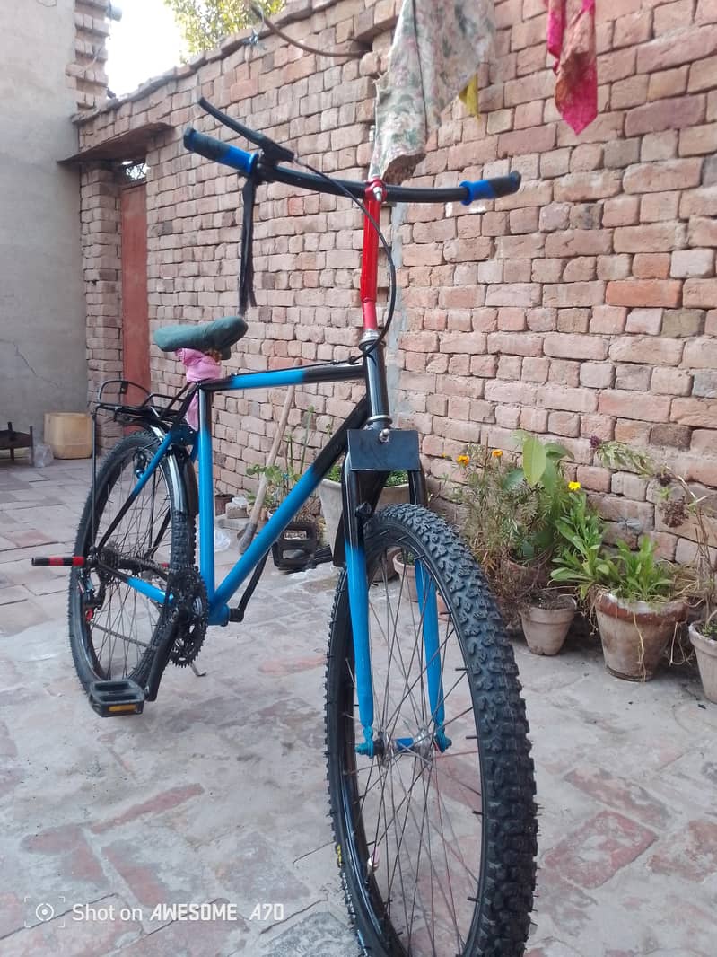bicycle 2