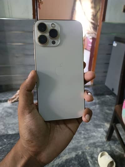 Apple iPhone 13 Pro Max