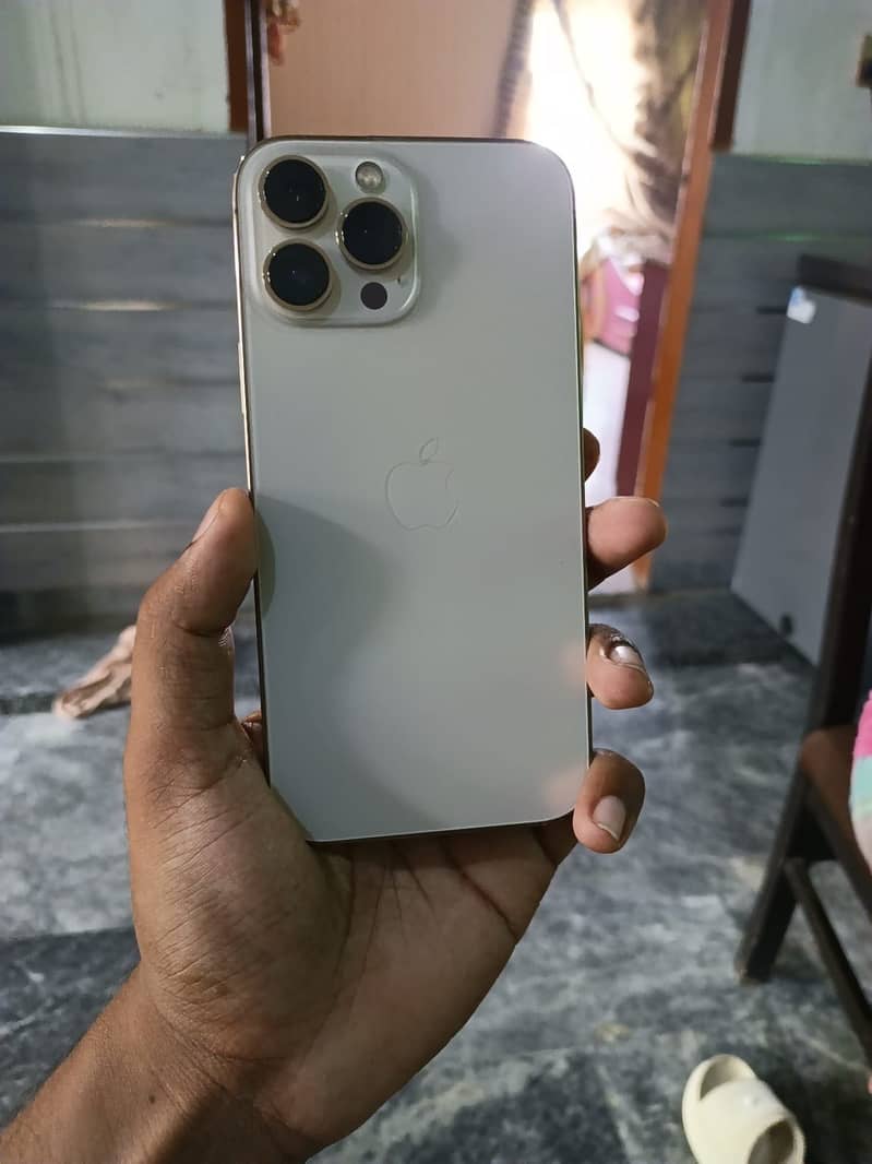 Apple iPhone 13 Pro Max 0