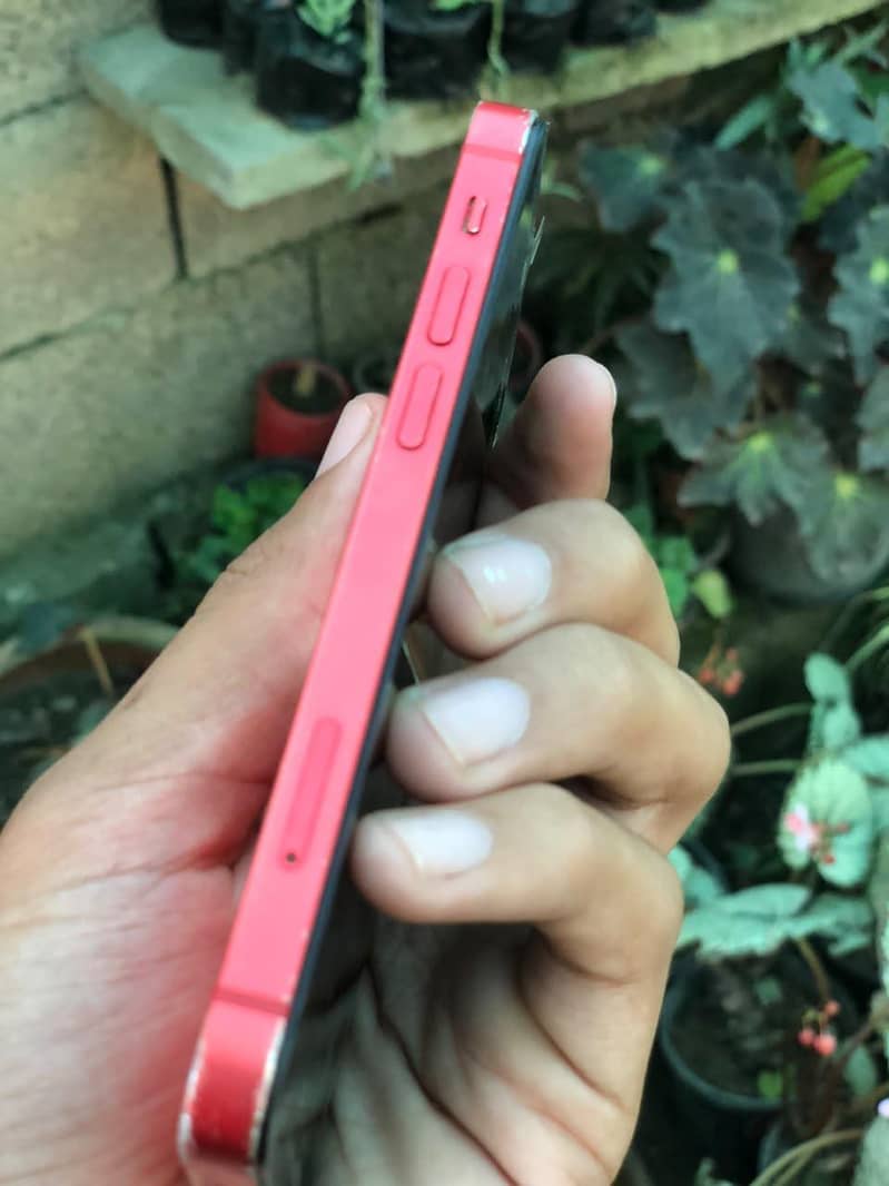 Apple iPhone 12 mini 3