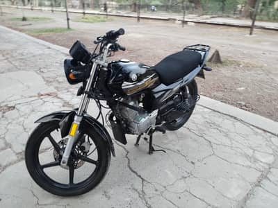 Yamaha ybzdx Lush Condition