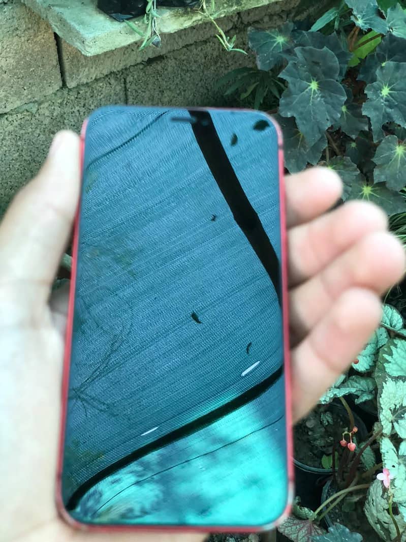 Apple iPhone 12 mini 4