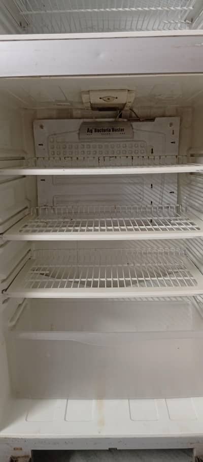 Pel Used Fridge Double Door
