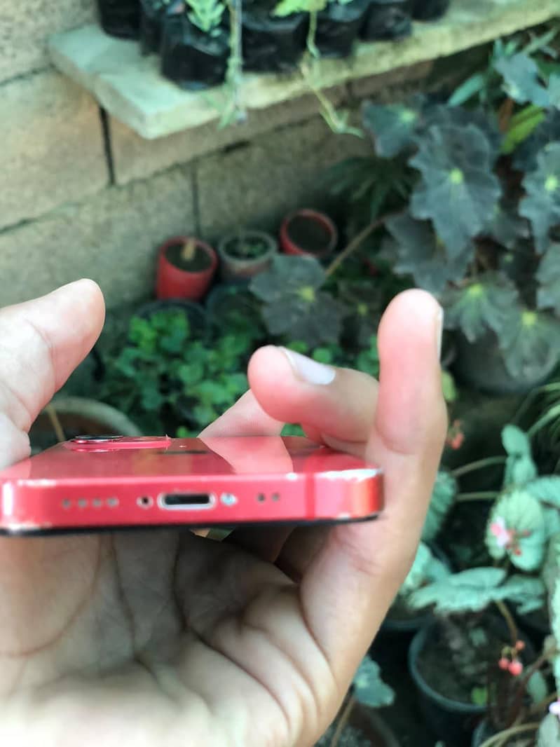 Apple iPhone 12 mini 1