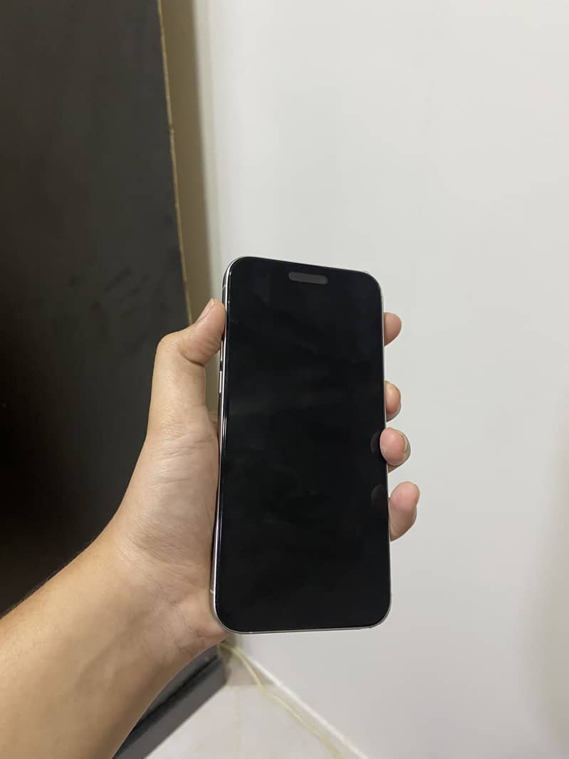 Apple iPhone 15 Pro Max 3
